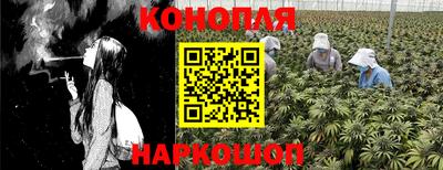 a pvp Краснодар