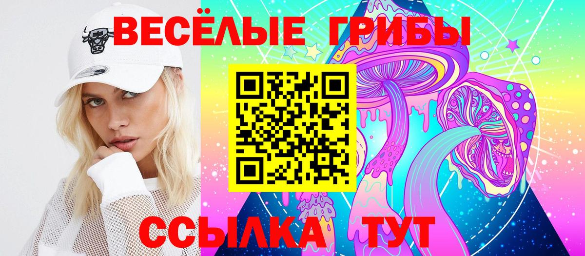 Галлюциногенные грибы Cubensis  Вход с VPN  Зеленодольск 