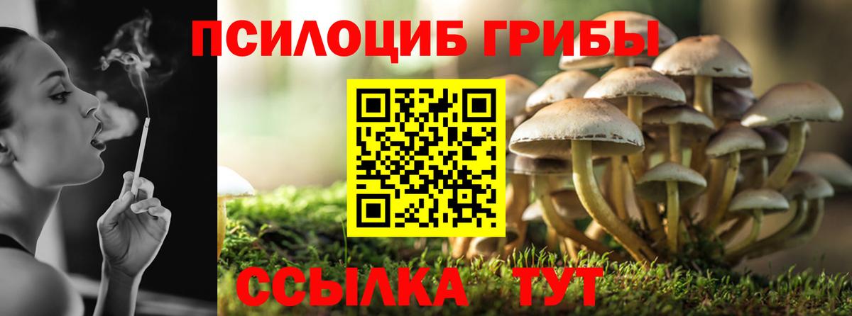 Галлюциногенные грибы Cubensis Зеленодольск